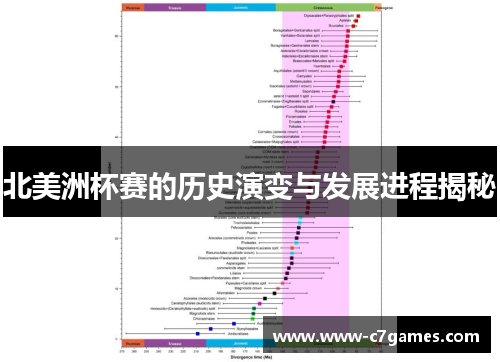 北美洲杯赛的历史演变与发展进程揭秘 北美洲杯赛的历史演变与发展进程揭秘