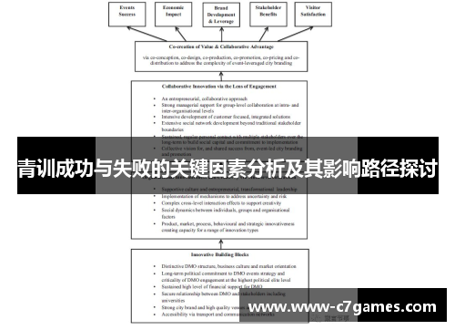 青训成功与失败的关键因素分析及其影响路径探讨